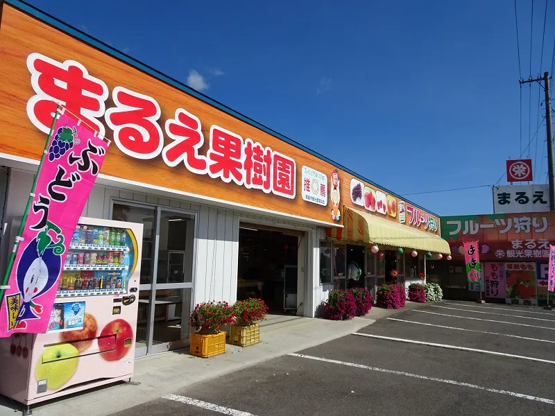 まるえ観光果樹園