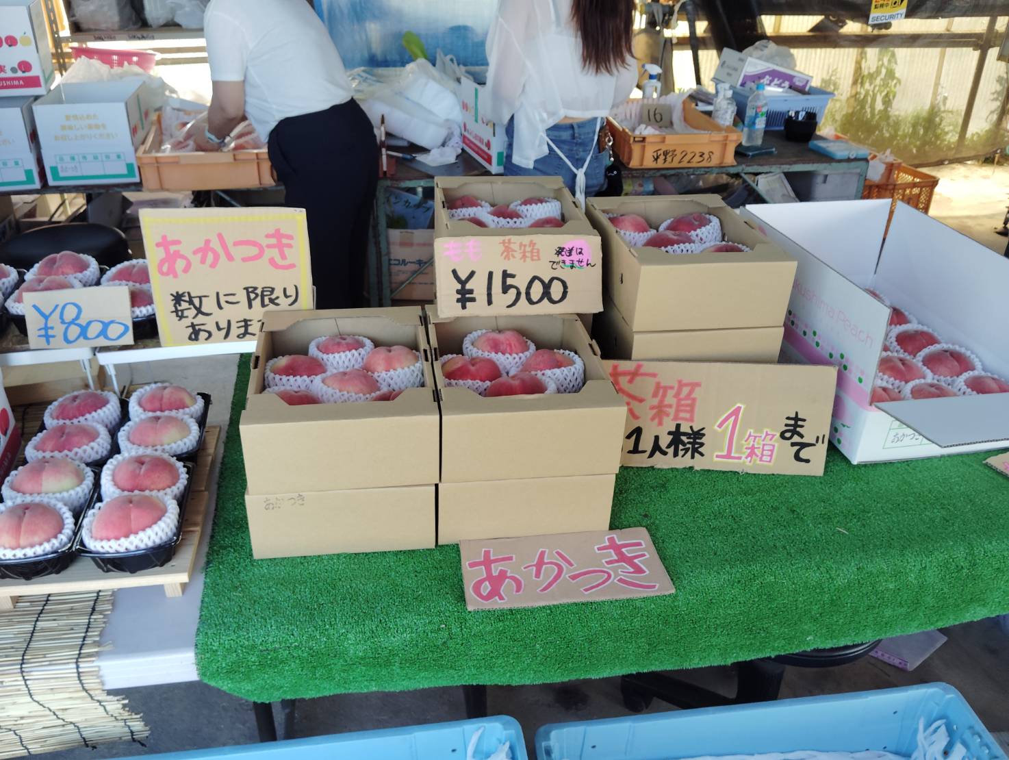 吉井農園